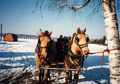 Sleigh Ride - Horses and the Couple